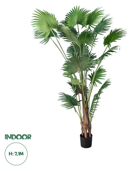 GloboStar® Artificial Garden PALM TREE 20014 Τεχνητό Διακοσμητικό Φυτό Φοινικόδεντρο Βεντάλια Υ210cm