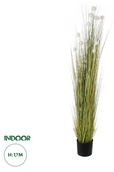 GloboStar® Artificial Garden ERIOPHORUM ANGUSTIFOLIUM COTTON GRASS 20074 Τεχνητό Διακοσμητικό Φυτό Γρασίδι του Βαμβακιού Υ170cm