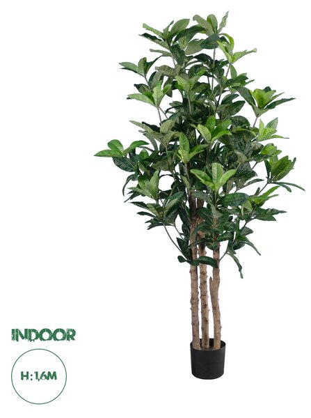 GloboStar® Artificial Garden FORTUNE GUIANA TREE 20056 Τεχνητό Διακοσμητικό Φυτό Καστανιά του Μαλαμπάρ Υ160cm