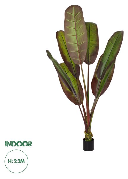 GloboStar® Artificial Garden BLOODY BANANA TREE 20119 - Τεχνητό Διακοσμητικό Φυτό Αιματόφυλλη Μπανανιά - Μπανανόδεντρο Υ220cm