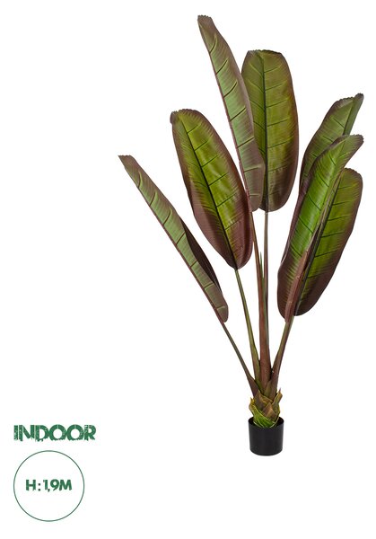 GloboStar® Artificial Garden BLOODY BANANA TREE 20118 - Τεχνητό Διακοσμητικό Φυτό Αιματόφυλλη Μπανανιά - Μπανανόδεντρο Υ190cm