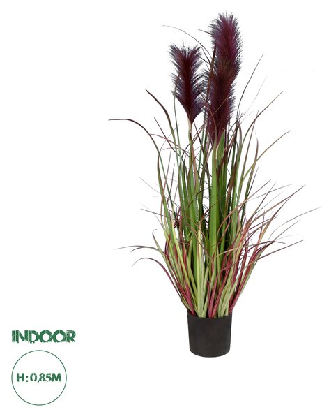 GloboStar® Artificial Garden BLOODY PAMPAS GRASS 20109 Τεχνητό Διακοσμητικό Φυτό Αιματόφυλλο Γρασίδι της Πάμπας Υ85cm