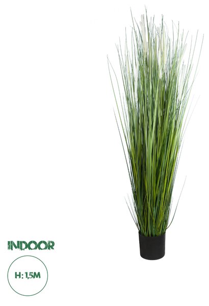 GloboStar® Artificial Garden SACCHARUM 20104 Τεχνητό Διακοσμητικό Φυτό Ζαχαροκάλαμο Υ150cm