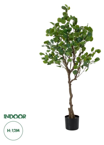 GloboStar® Artificial Garden EUCALYPTUS 20190 Τεχνητό Διακοσμητικό Φυτό Ευκάλυπτος Υ120cm