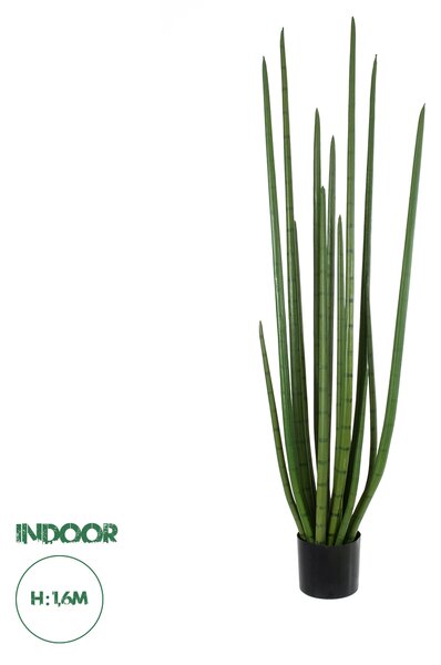 GloboStar® Artificial Garden SANSEVIERIA CYLINDRICA 20211 Τεχνητό Διακοσμητικό Φυτό Σανσεβιέρια Υ160cm