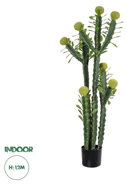 GloboStar® Artificial Garden CEREUS JAMACARU CACTUS 20193 Τεχνητό Διακοσμητικό Φυτό Κάκτος Κηρίος Υ120cm