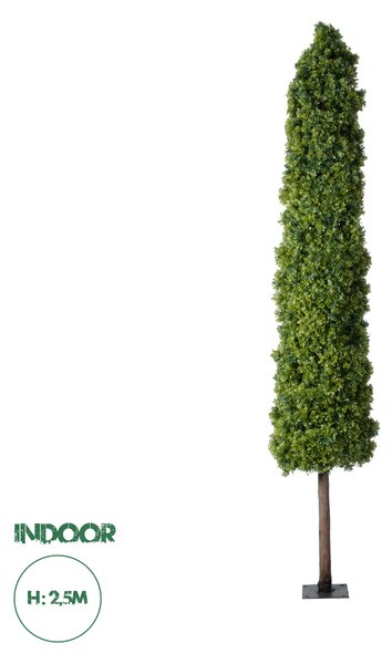 GloboStar® Artificial Garden BUXUS 20158 Τεχνητό Διακοσμητικό Φυτό Πυξός Υ250cm