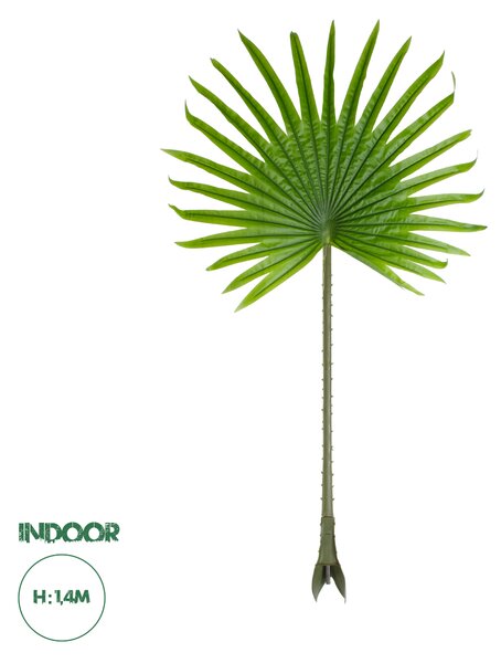 GloboStar® Artificial Garden SERENOA PALM LEAF 20172 Τεχνητό Διακοσμητικό Φύλο Φοινικόδεντρου Σερενόα Βεντάλια Π77 x Υ140cm