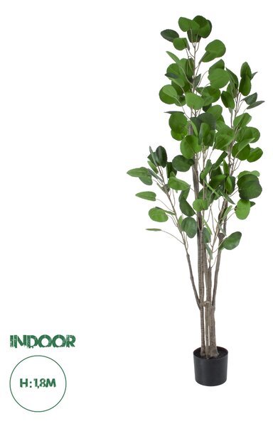 GloboStar® Artificial Garden POLYSCIAS BALFOURIANA TREE 20375 Τεχνητό Διακοσμητικό Φυτό Πολυσκιά Υ180cm