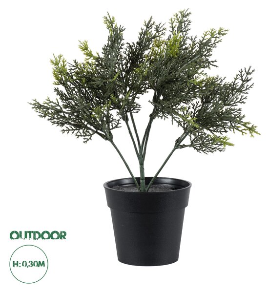 GloboStar® Artificial Garden LEMON CYPRESS 20389 Τεχνητό Διακοσμητικό Φυτό Λεμονόκυπάρισσο Υ30cm