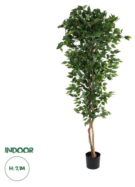 GloboStar® Artificial Garden FICUS BENJAMINA TREE 20417 Τεχνητό Διακοσμητικό Φυτό Φίκος Μπενζαμίνη Υ210cm