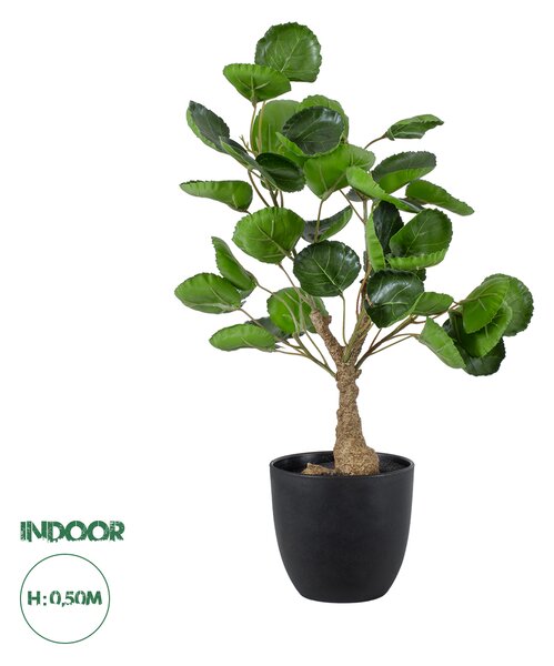 GloboStar® Artificial Garden POLYSCIAS SCUTELLARIA TREE 20424 Τεχνητό Διακοσμητικό Φυτό Πολυσκιά Υ50cm