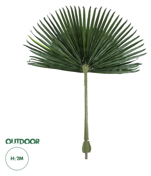 GloboStar® Artificial Garden WASHINGTONIA FILIFERA PALM LEAF 20171 Τεχνητό Διακοσμητικό Φύλο Φοινικόδεντρου Βεντάλια Π170 x Υ200cm