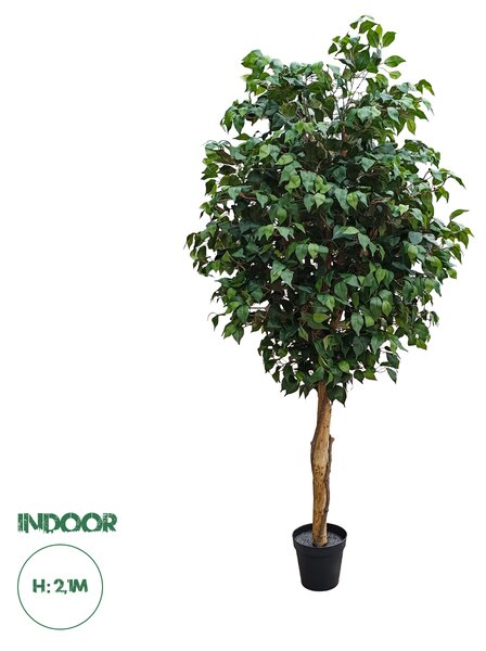 GloboStar® Artificial Garden FICUS BENJAMINA TREE 20431 Τεχνητό Διακοσμητικό Φυτό Φίκος Μπενζαμίνη Υ210cm