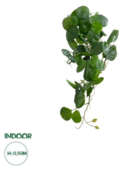 GloboStar® Artificial Garden HANGING PEPEROMIA 20599 Τεχνητό Διακοσμητικό Κρεμαστό Φυτό Πεπερόμια Μ30 x Π31 x Υ50cm