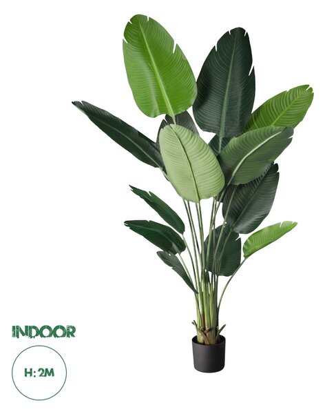 GloboStar® Artificial Garden STRELITZIA 20027 Τεχνητό Διακοσμητικό Φυτό Στρελίτσια - Πουλί του Παραδείσου Υ200cm