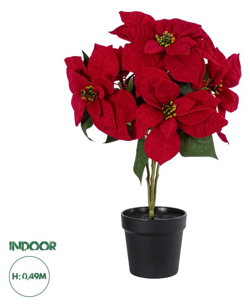 GloboStar® Artificial Garden CHRISTMASS FLOWER EUPHORBIA 20365 Τεχνητό Διακοσμητικό Χριστουγεννιάτικο Λουλούδι Αλεξανδρινό Υ49cm