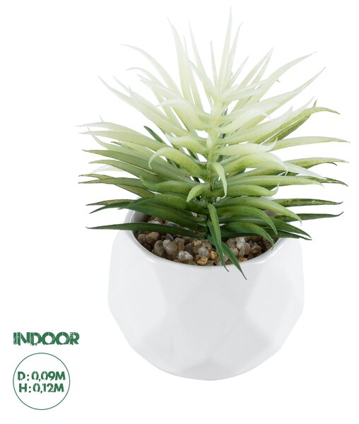 GloboStar® Artificial Garden SUCCULENT SENECIO 20997 Διακοσμητικό Φυτό Παχύφυτο Σενέκιο Υ12cm