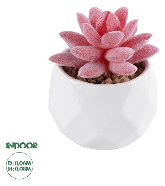 GloboStar® Artificial Garden SUCCULENT SEDEVERIA 20981 Διακοσμητικό Φυτό Παχύφυτο Σεντεβέρια Υ8cm