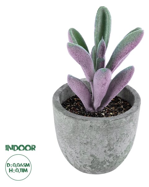 GloboStar® Artificial Garden SUCCULENT CRASULLA 21031 Διακοσμητικό Φυτό Παχύφυτο Κράσουλα Υ11cm