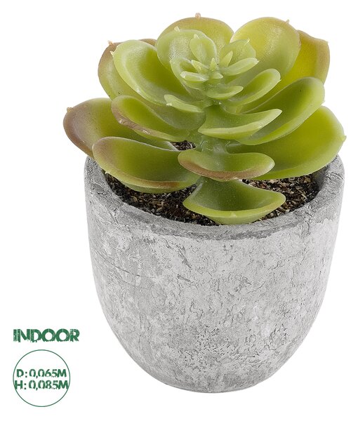 GloboStar® Artificial Garden SUCCULENT SEDEVERIA 21021 Διακοσμητικό Φυτό Παχύφυτο Σεντεβέρια Υ8.5cm