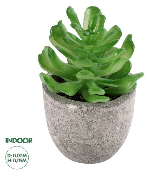 GloboStar® Artificial Garden SUCCULENT CRASSULA 21014 Διακοσμητικό Φυτό Παχύφυτο Κράσουλα Υ11.5cm