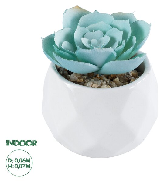 GloboStar® Artificial Garden SUCCULENT ECHEVERIA 20996 Διακοσμητικό Φυτό Παχύφυτο Εχεβέρια Υ7cm