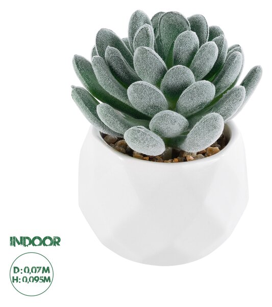 GloboStar® Artificial Garden SUCCULENT SEDEVERIA 21001 Διακοσμητικό Φυτό Παχύφυτο Σεντεβέρια Υ9.5cm