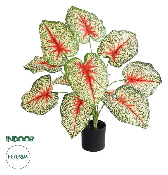 GloboStar® Artificial Garden CALADIUM PLANT 20932 Διακοσμητικό Φυτό Καλάντιουμ Φ58 x Υ55cm