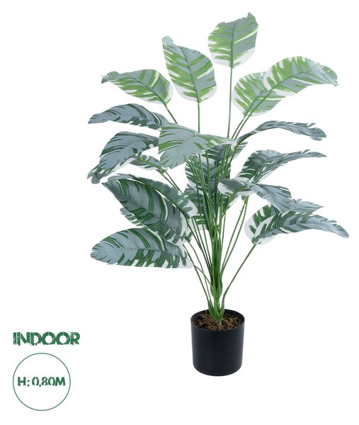 GloboStar® Artificial Garden BANANA ZEBRA PLANT 20919 - Διακοσμητικό Φυτό Μπανανιά Ζέβρα Φ78 x Υ80cm