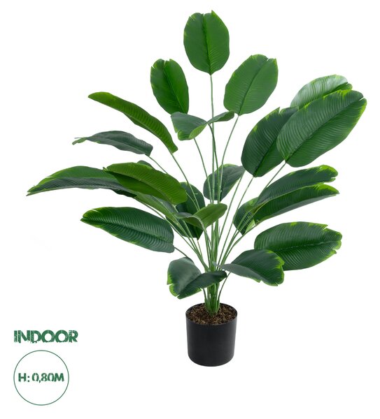 GloboStar® Artificial Garden YOUNG BANANA PLANT 20916 - Διακοσμητικό Φυτό Νεαρή Μπανανιά Φ82 x Υ80cm