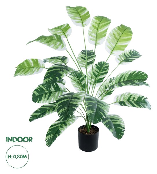 GloboStar® Artificial Garden BANANA ZEBRA PLANT 20918 - Διακοσμητικό Φυτό Μπανανιά Ζέβρα Φ83 x Υ80cm