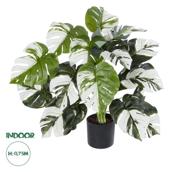 GloboStar® Artificial Garden ALBINO MONSTERA PLANT 20925 - Διακοσμητικό Φυτό Λευκή Μονστέρα Φ70 x Υ75cm