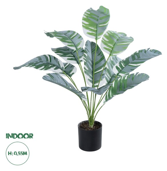 GloboStar® Artificial Garden BANANA PLANT ZEBRA 20930 - Διακοσμητικό Φυτό Μπανανιά Ζέβρα Φ70 x Υ55cm