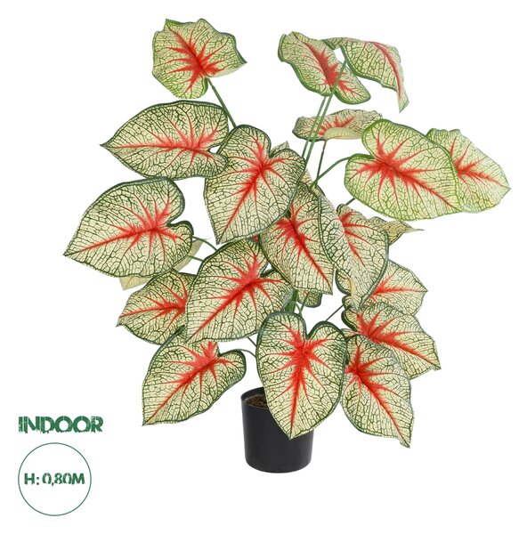 GloboStar® Artificial Garden CALADIUM PLANT 20921 Διακοσμητικό Φυτό Καλάντιουμ Φ75 x Υ80cm