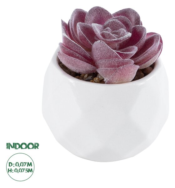 GloboStar® Artificial Garden SUCCULENT ECHEVERIA 21000 Διακοσμητικό Φυτό Παχύφυτο Εχεβέρια Υ7.5cm