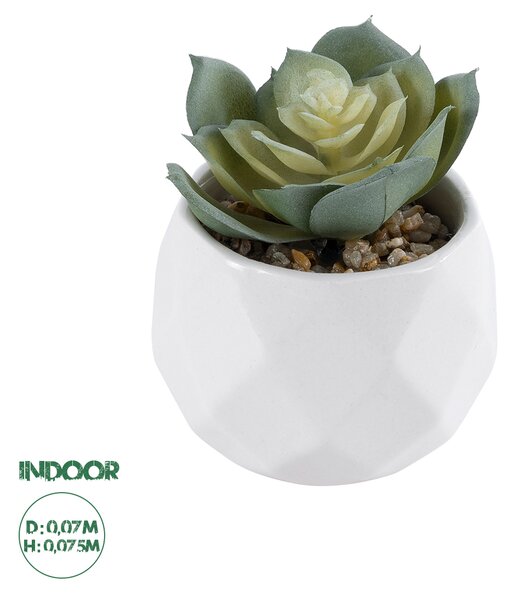 GloboStar® Artificial Garden SUCCULENT ECHEVERIA 20980 Διακοσμητικό Φυτό Παχύφυτο Εχεβέρια Υ7.5cm