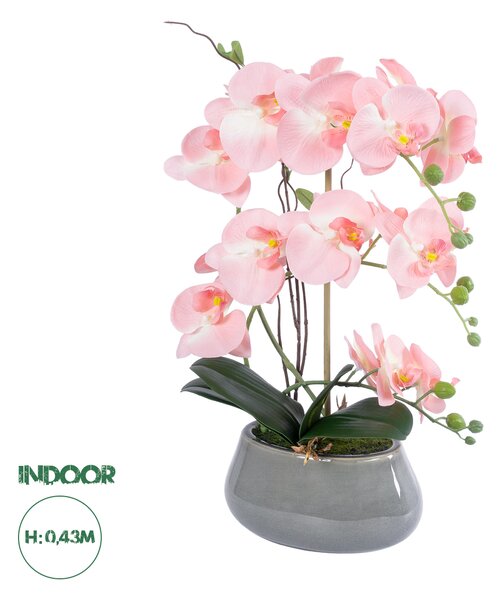 GloboStar® Artificial Garden SALMON PINK ORCHID 21122 Διακοσμητικό Φυτό Ροζ-Πορτοκαλί Ορχιδέα Υ43cm