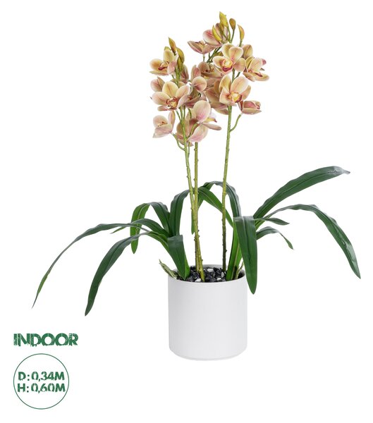 GloboStar® Artificial Garden CHAMPAGNE CHERRY CYMBIDIUM 21404 Διακοσμητικό Φυτό Σαμπανιζέ Κυμβίδιο Υ60cm