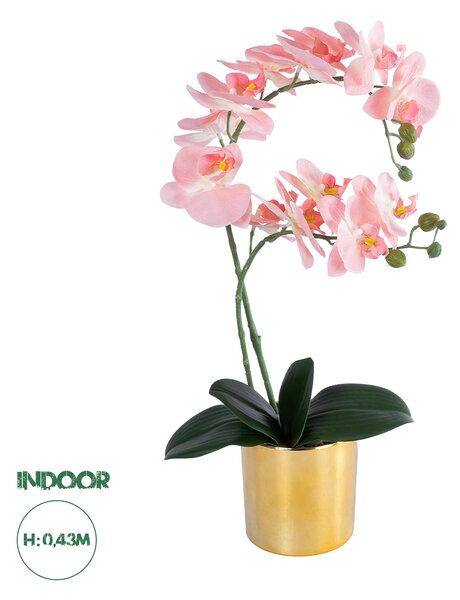 GloboStar® Artificial Garden SALMON PINK ORCHID 21129 Διακοσμητικό Φυτό Φούξια Ορχιδέα Υ43cm