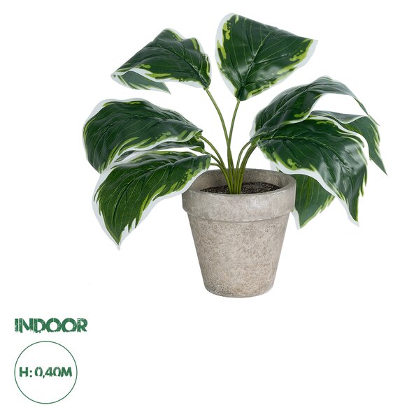 GloboStar® Artificial Garden WHITE HOSTA PLANT 20900 Διακοσμητικό Φυτό Λευκή Χόστα Φ45 x Υ40cm