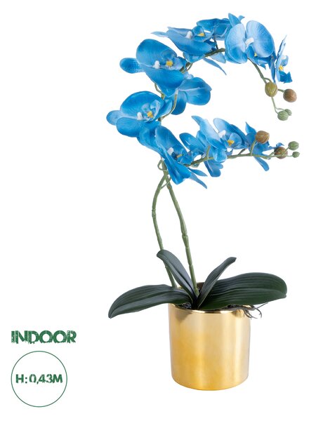 GloboStar® Artificial Garden BLUE ORCHID 21130 Διακοσμητικό Φυτό Μπλε Ορχιδέα Υ43cm