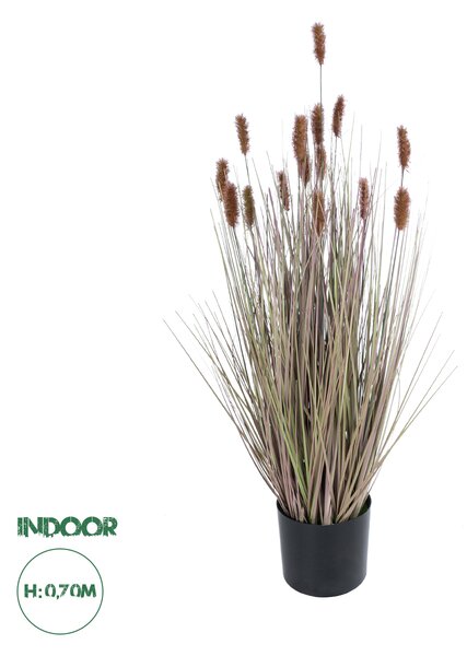 GloboStar® Artificial Garden BROWN LAGURUS 21099 Διακοσμητικό Φυτό Καφέ Λαγοουρά Υ70cm