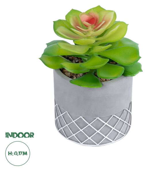 GloboStar® Artificial Garden SUCCULENT SEDEVERIA 21095 Διακοσμητικό Φυτό Παχύφυτο Σεντεβέρια Υ17cm