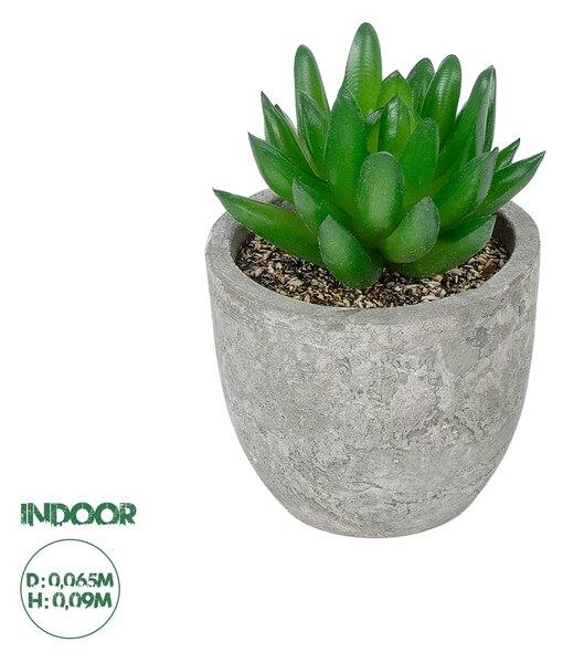 GloboStar® Artificial Garden SUCCULENT SEDEVERIA POTTED PLANT 21019 Διακοσμητικό Φυτό Σεδεβέρια Φ6,5 x Υ9cm