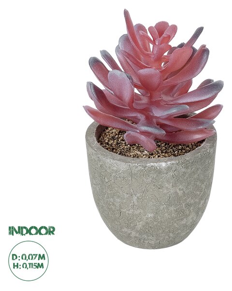 GloboStar® Artificial Garden SUCCULENT CRASSULA POTTED PLANT 21015 Διακοσμητικό Φυτό Κρασούλα Φ7 x Υ11,5cm