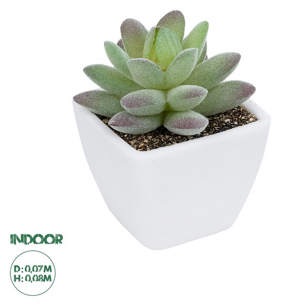 GloboStar® Artificial Garden SUCCULENT SEDEVERIA POTTED PLANT 20975 Διακοσμητικό Φυτό Φοίνικα Σερενόα Φ7 x Υ8cm