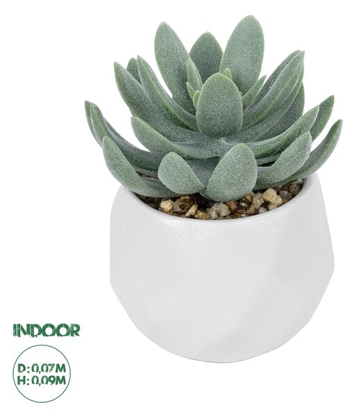 GloboStar® Artificial Garden SUCCULENT SEDEVERIA POTTED PLANT 20998 Διακοσμητικό Φυτό Σεδεβέρια Φ7 x Υ9cm