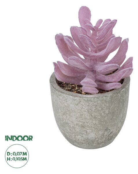 GloboStar® Artificial Garden SUCCULENT CRASSULA POTTED PLANT 21029 Διακοσμητικό Φυτό Κρασούλα Φ7 x Υ10,5cm