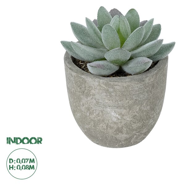 GloboStar® Artificial Garden SUCCULENT SEDEVERIA POTTED PLANT 21016 Διακοσμητικό Φυτό Σεδεβέρια Φ7 x Υ8cm